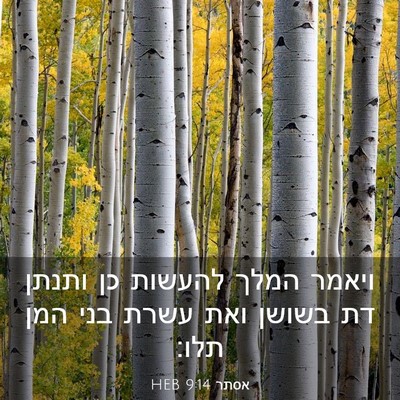 Picture 03 - אסתר 9:14 HEB - ויאמר המלך להעשות כן ותנתן - Bible Verse Picture