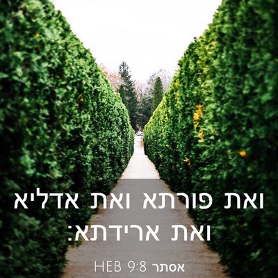 Picture 03 - אסתר 9:8 HEB - ואת פורתא ואת אדליא ואת - Bible Verse Picture