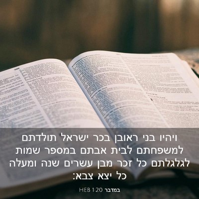 Picture 03 - במדבר 1:20 HEB - ויהיו בני ראובן בכר ישראל - Bible Verse Picture