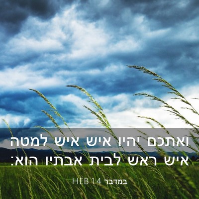 Picture 03 - במדבר 1:4 HEB - ואתכם יהיו איש איש למטה איש - Bible Verse Picture