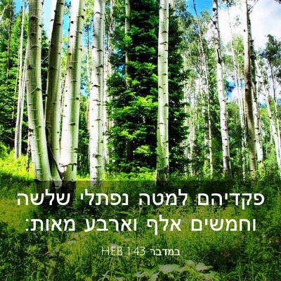 Picture 03 - במדבר 1:43 HEB - פקדיהם למטה נפתלי שלשה - Bible Verse Picture
