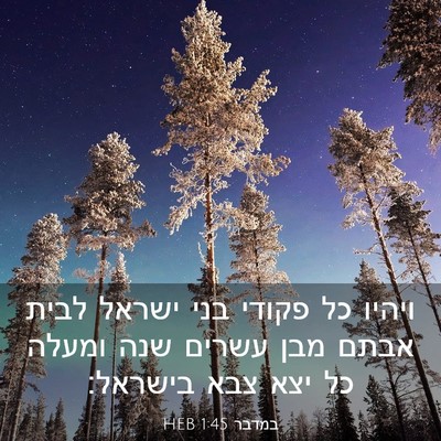 Picture 03 - במדבר 1:45 HEB - ויהיו כל פקודי בני ישראל - Bible Verse Picture