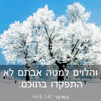 Picture 03 - במדבר 1:47 HEB - והלוים למטה אבתם לא התפקדו - Bible Verse Picture
