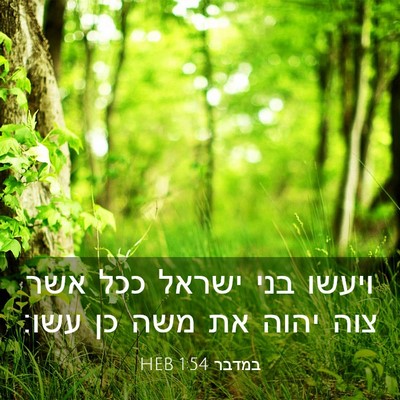 Picture 03 - במדבר 1:54 HEB - ויעשו בני ישראל ככל אשר צוה - Bible Verse Picture