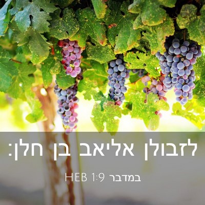 Picture 03 - במדבר 1:9 HEB - לזבולן אליאב בן - Bible Verse Picture