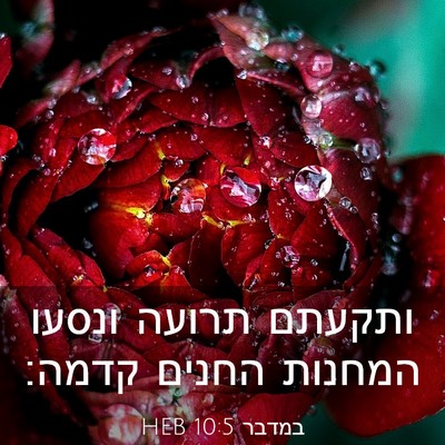Picture 03 - במדבר 10:5 HEB - ותקעתם תרועה ונסעו המחנות - Bible Verse Picture