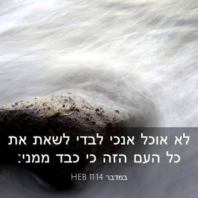 Picture 03 - במדבר 11:14 HEB - לא אוכל אנכי לבדי לשאת את - Bible Verse Picture