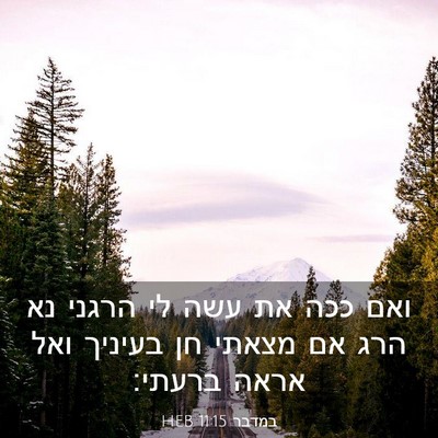 Picture 03 - במדבר 11:15 HEB - ואם ככה את עשה לי הרגני נא - Bible Verse Picture