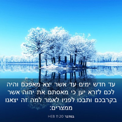Picture 03 - במדבר 11:20 HEB - עד חדש ימים עד אשר יצא - Bible Verse Picture