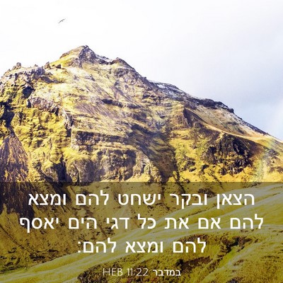 Picture 03 - במדבר 11:22 HEB - הצאן ובקר ישחט להם ומצא להם - Bible Verse Picture