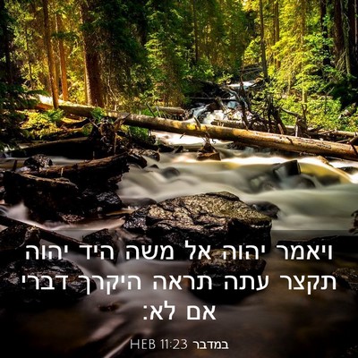 Picture 03 - במדבר 11:23 HEB - ויאמר יהוה אל משה היד יהוה - Bible Verse Picture