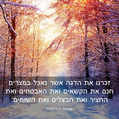 Picture 03 - במדבר 11:5 HEB - זכרנו את הדגה אשר נאכל - Bible Verse Picture