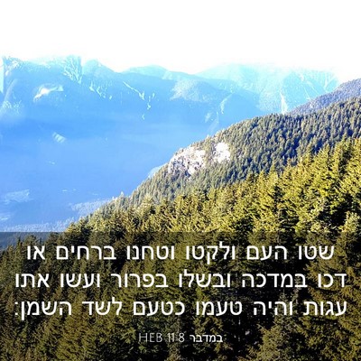 Picture 03 - במדבר 11:8 HEB - שטו העם ולקטו וטחנו ברחים - Bible Verse Picture
