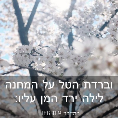 Picture 03 - במדבר 11:9 HEB - וברדת הטל על המחנה לילה ירד - Bible Verse Picture