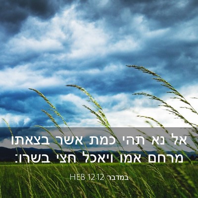Picture 03 - במדבר 12:12 HEB - אל נא תהי כמת אשר בצאתו - Bible Verse Picture