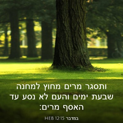 Picture 03 - במדבר 12:15 HEB - ותסגר מרים מחוץ למחנה שבעת - Bible Verse Picture