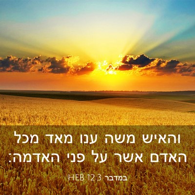 Picture 03 - במדבר 12:3 HEB - והאיש משה ענו מאד מכל האדם - Bible Verse Picture