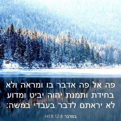 Picture 03 - במדבר 12:8 HEB - פה אל פה אדבר בו ומראה ולא - Bible Verse Picture