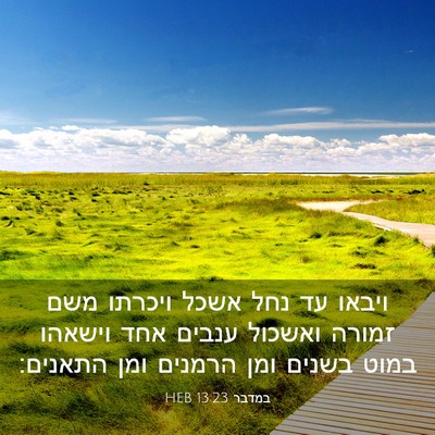 Picture 03 - במדבר 13:23 HEB - ויבאו עד נחל אשכל ויכרתו - Bible Verse Picture