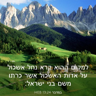 Picture 03 - במדבר 13:24 HEB - למקום ההוא קרא נחל אשכול על - Bible Verse Picture