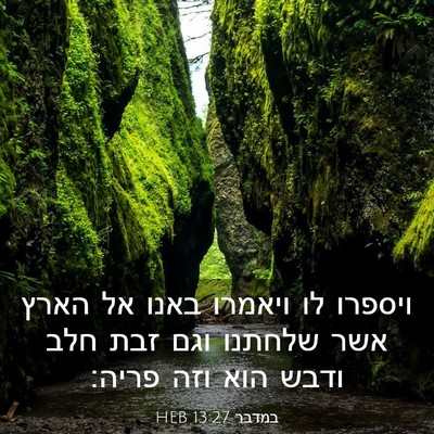 Picture 03 - במדבר 13:27 HEB - ויספרו לו ויאמרו באנו אל - Bible Verse Picture