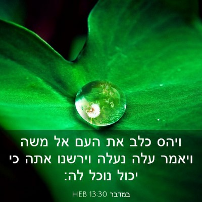 Picture 03 - במדבר 13:30 HEB - ויהס כלב את העם אל משה - Bible Verse Picture