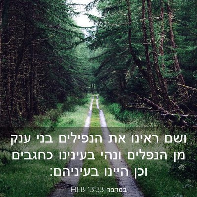 Picture 03 - במדבר 13:33 HEB - ושם ראינו את הנפילים בני - Bible Verse Picture