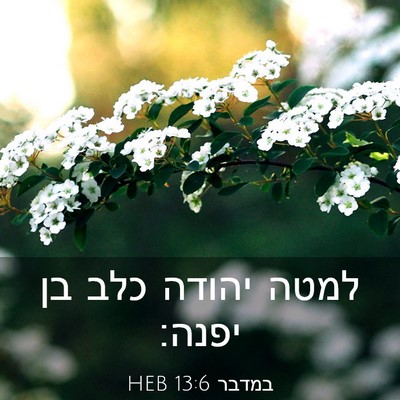 Picture 03 - במדבר 13:6 HEB - למטה יהודה כלב בן - Bible Verse Picture