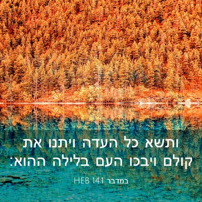 Picture 03 - במדבר 14:1 HEB - ותשא כל העדה ויתנו את קולם - Bible Verse Picture