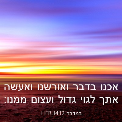 Picture 03 - במדבר 14:12 HEB - אכנו בדבר ואורשנו ואעשה - Bible Verse Picture