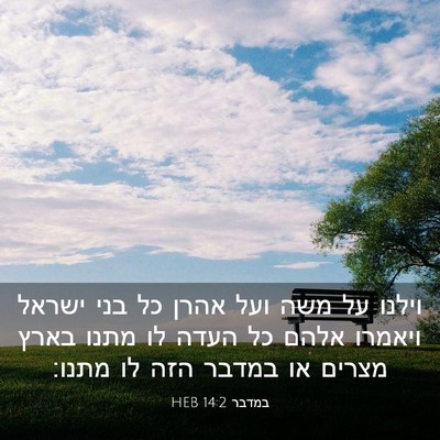Picture 03 - במדבר 14:2 HEB - וילנו על משה ועל אהרן כל - Bible Verse Picture