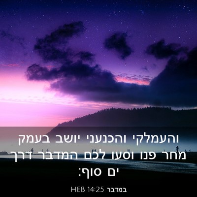 Picture 03 - במדבר 14:25 HEB - והעמלקי והכנעני יושב בעמק - Bible Verse Picture