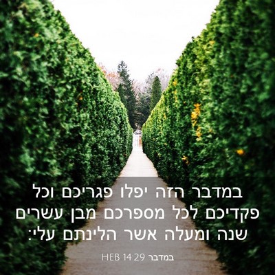 Picture 03 - במדבר 14:29 HEB - במדבר הזה יפלו פגריכם וכל - Bible Verse Picture