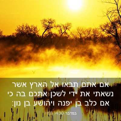 Picture 03 - במדבר 14:30 HEB - אם אתם תבאו אל הארץ אשר - Bible Verse Picture
