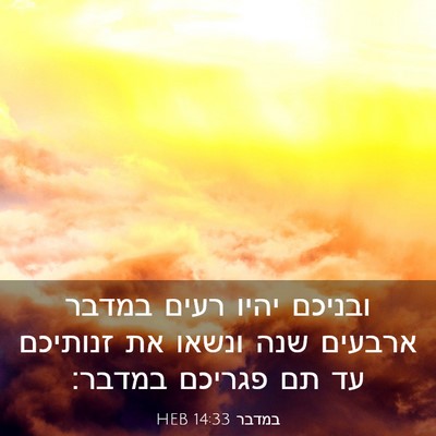 Picture 03 - במדבר 14:33 HEB - ובניכם יהיו רעים במדבר - Bible Verse Picture
