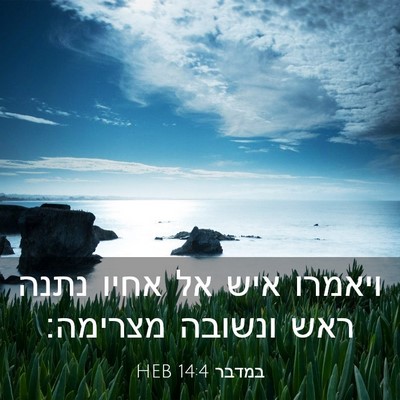 Picture 03 - במדבר 14:4 HEB - ויאמרו איש אל אחיו נתנה ראש - Bible Verse Picture