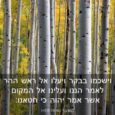 Picture 03 - במדבר 14:40 HEB - וישכמו בבקר ויעלו אל ראש - Bible Verse Picture