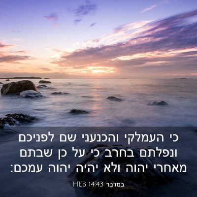 Picture 03 - במדבר 14:43 HEB - כי העמלקי והכנעני שם - Bible Verse Picture