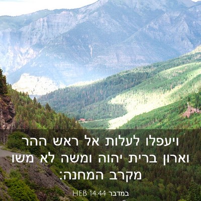 Picture 03 - במדבר 14:44 HEB - ויעפלו לעלות אל ראש ההר - Bible Verse Picture