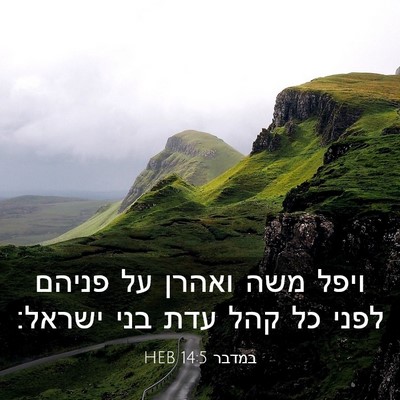 Picture 03 - במדבר 14:5 HEB - ויפל משה ואהרן על פניהם - Bible Verse Picture