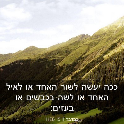 Picture 03 - במדבר 15:11 HEB - ככה יעשה לשור האחד או לאיל - Bible Verse Picture