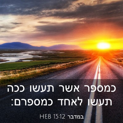 Picture 03 - במדבר 15:12 HEB - כמספר אשר תעשו ככה תעשו - Bible Verse Picture