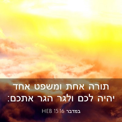 Picture 03 - במדבר 15:16 HEB - תורה אחת ומשפט אחד יהיה לכם - Bible Verse Picture