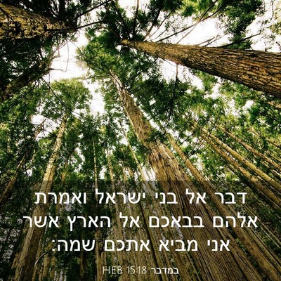 Picture 03 - במדבר 15:18 HEB - דבר אל בני ישראל ואמרת אלהם - Bible Verse Picture