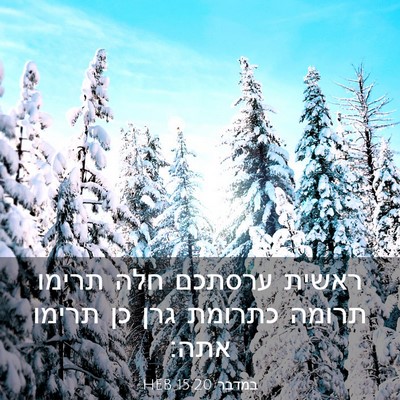 Picture 03 - במדבר 15:20 HEB - ראשית ערסתכם חלה תרימו - Bible Verse Picture