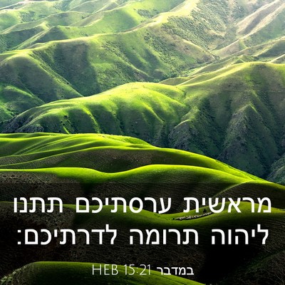 Picture 03 - במדבר 15:21 HEB - מראשית ערסתיכם תתנו ליהוה - Bible Verse Picture