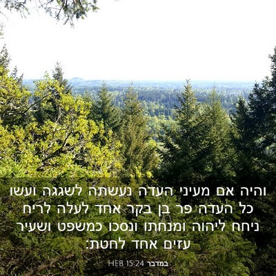 Picture 03 - במדבר 15:24 HEB - והיה אם מעיני העדה נעשתה - Bible Verse Picture