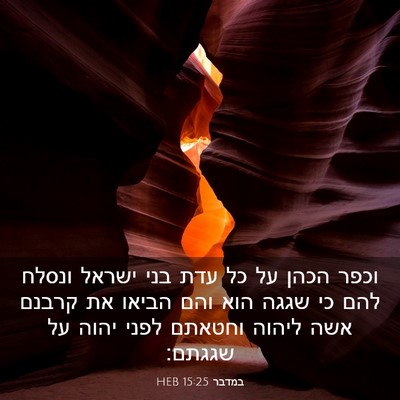 Picture 03 - במדבר 15:25 HEB - וכפר הכהן על כל עדת בני - Bible Verse Picture