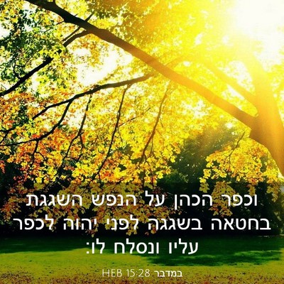 Picture 03 - במדבר 15:28 HEB - וכפר הכהן על הנפש השגגת - Bible Verse Picture