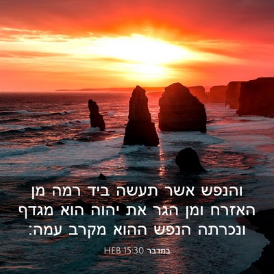 Picture 03 - במדבר 15:30 HEB - והנפש אשר תעשה ביד רמה מן - Bible Verse Picture